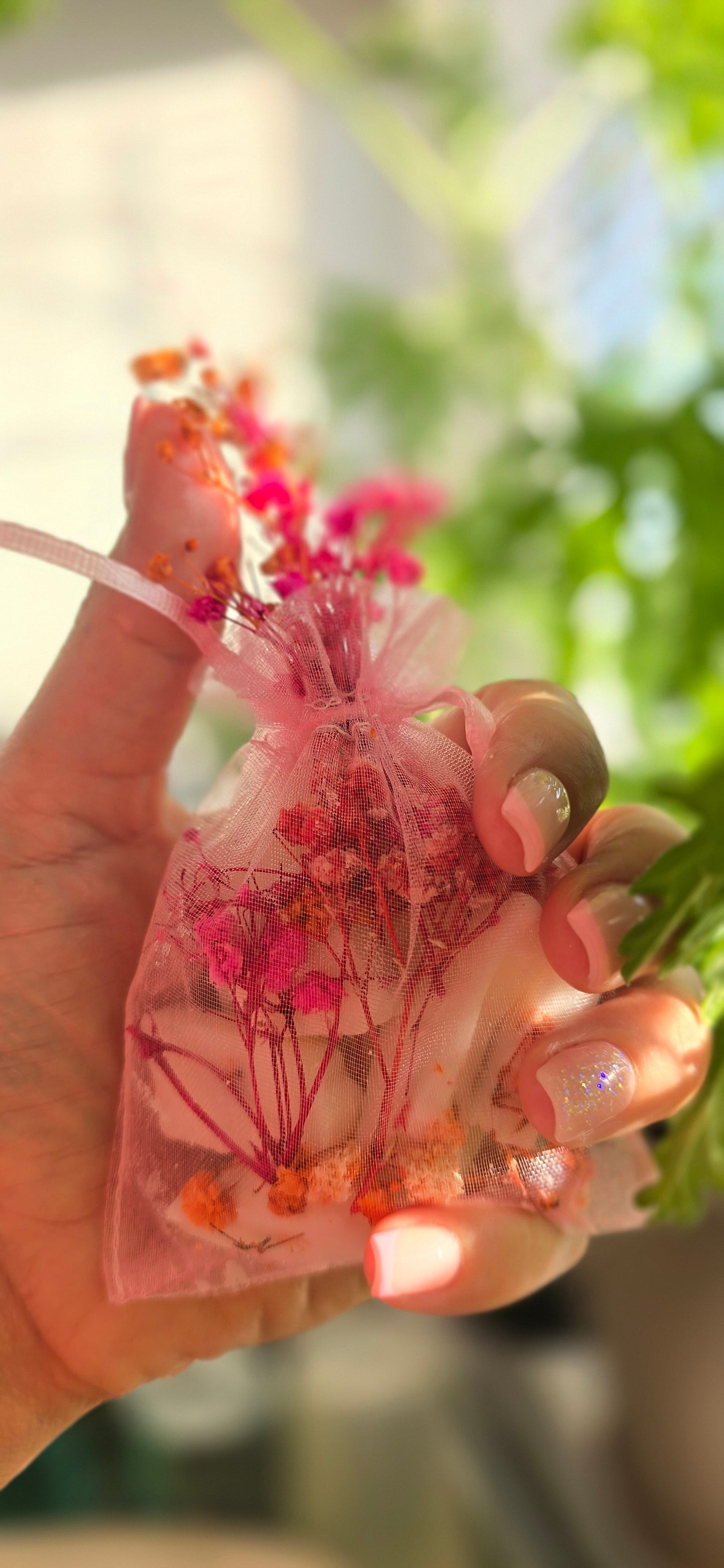 Air La Freshener Tropical π